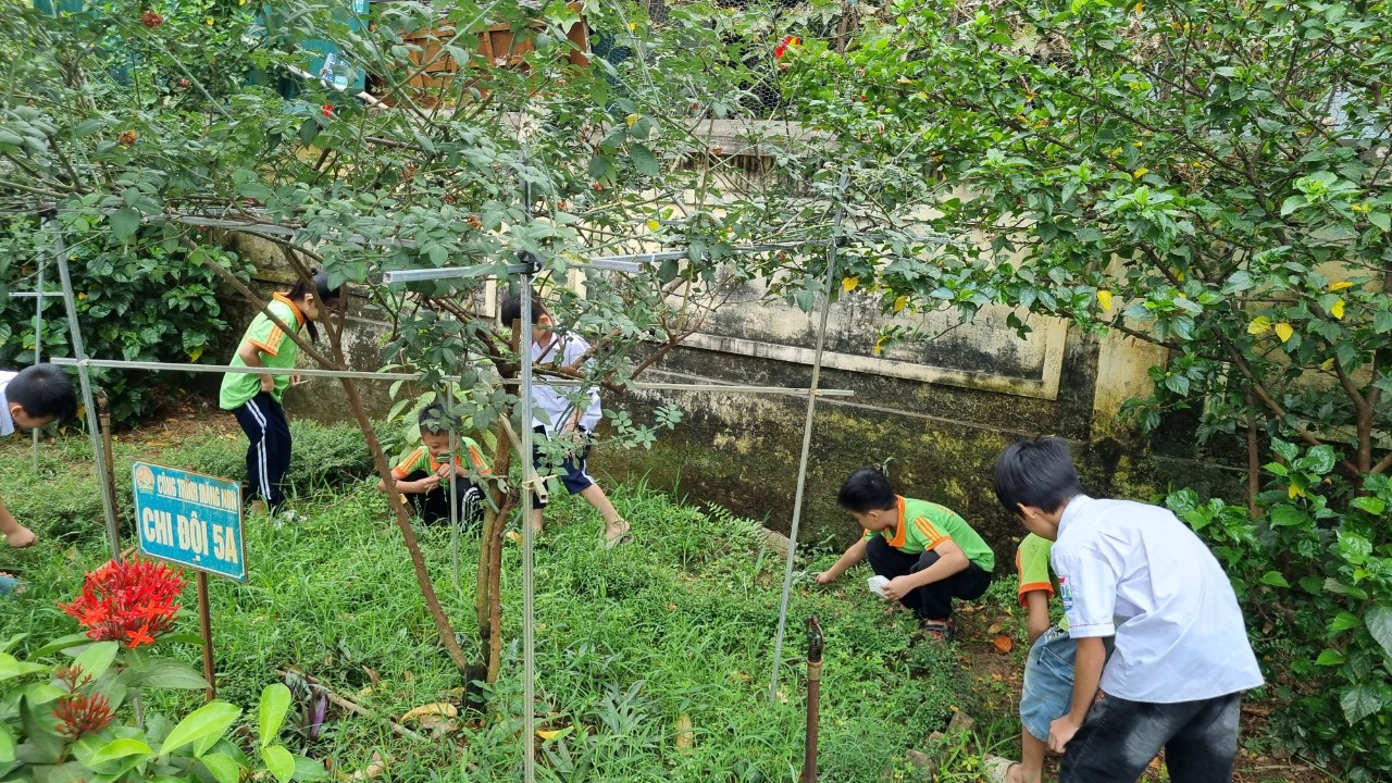 z4808534303519 96b6048de3cfecf121528ea3649251ca