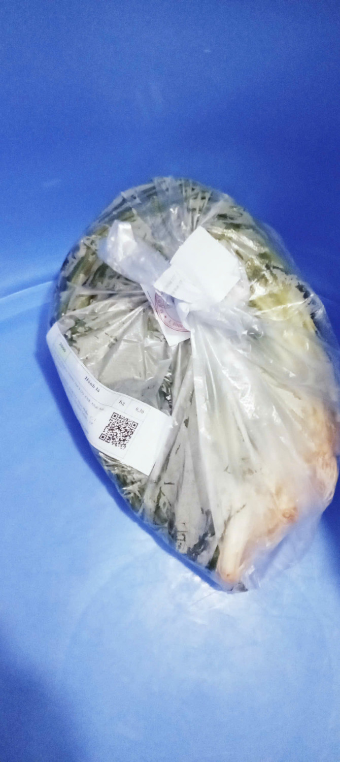 z7190043708605 32157056a34fdd7e8f095762c9231dc8