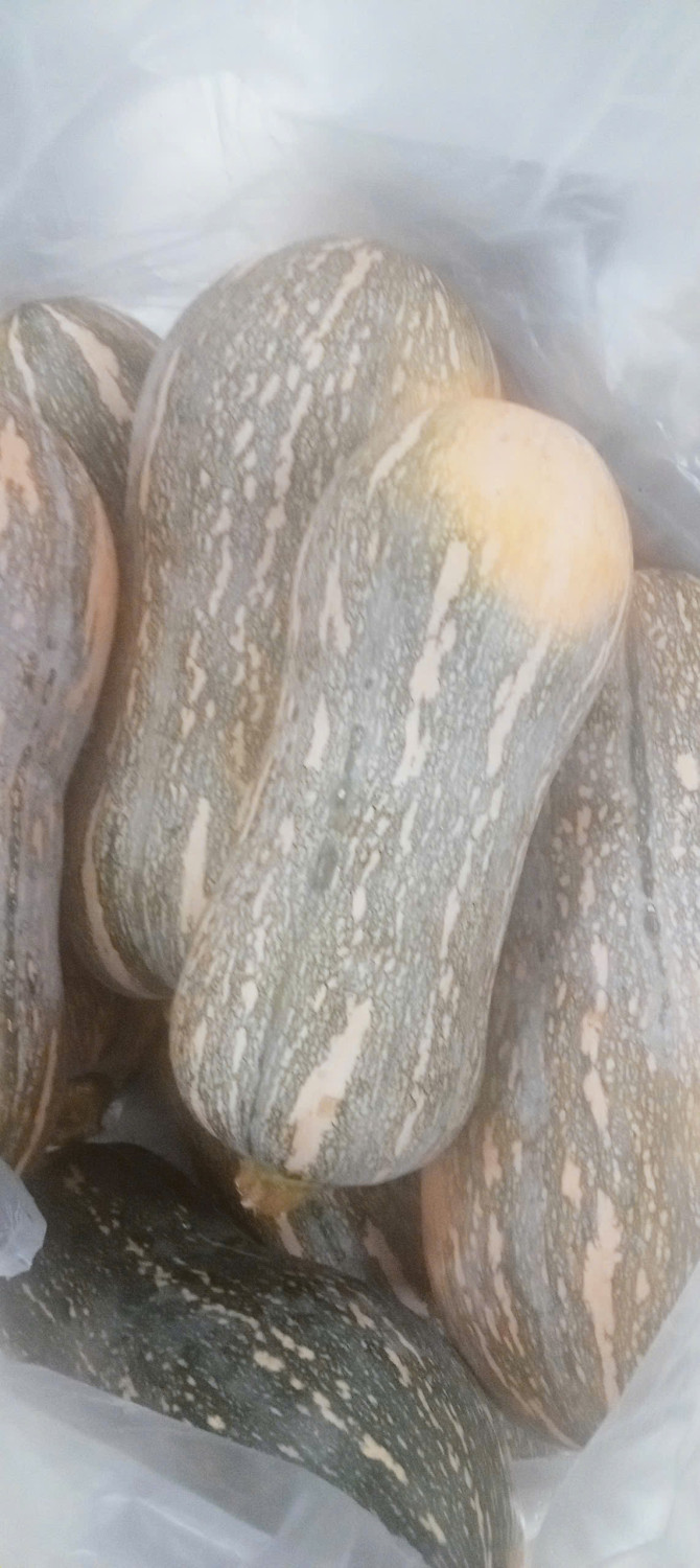 z7238855232075 1b71c0a8a1aeed0d81d64b77c15b35a8