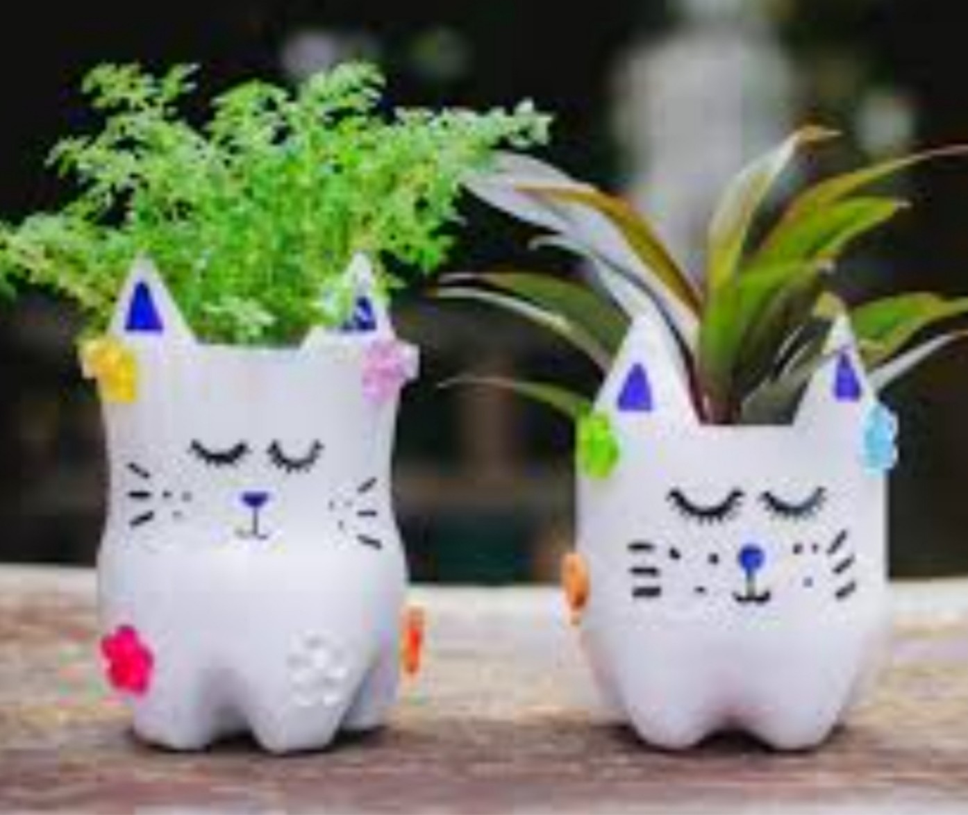 z2985247394317 8c20b68bfb73321d4c9a170a66a73f32