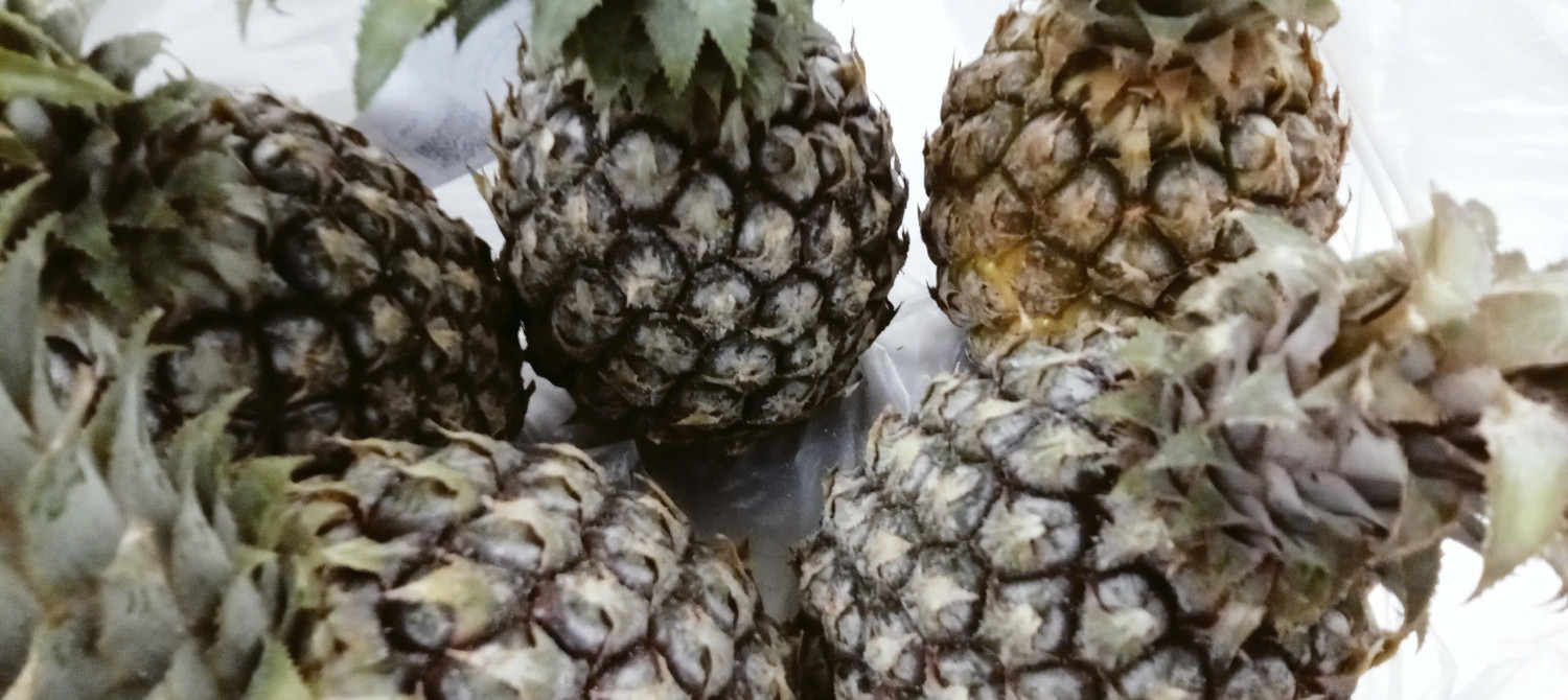 z7424719540460 b21e977ab642b9cbc42f912b8c239f95