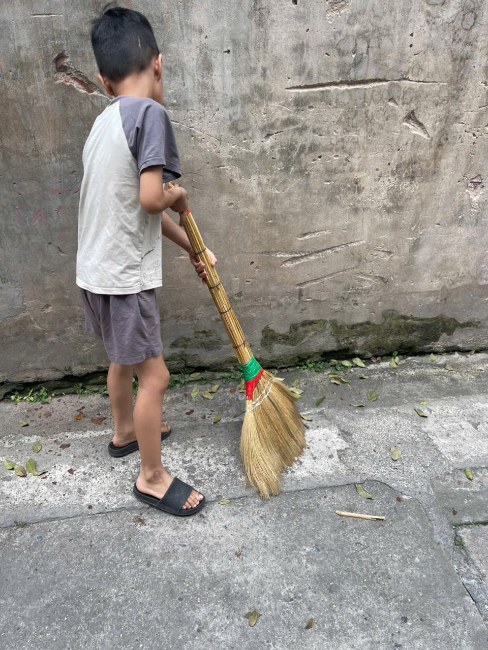 z7694691745865 3504d12e4e364a66eedef6640bc18d55